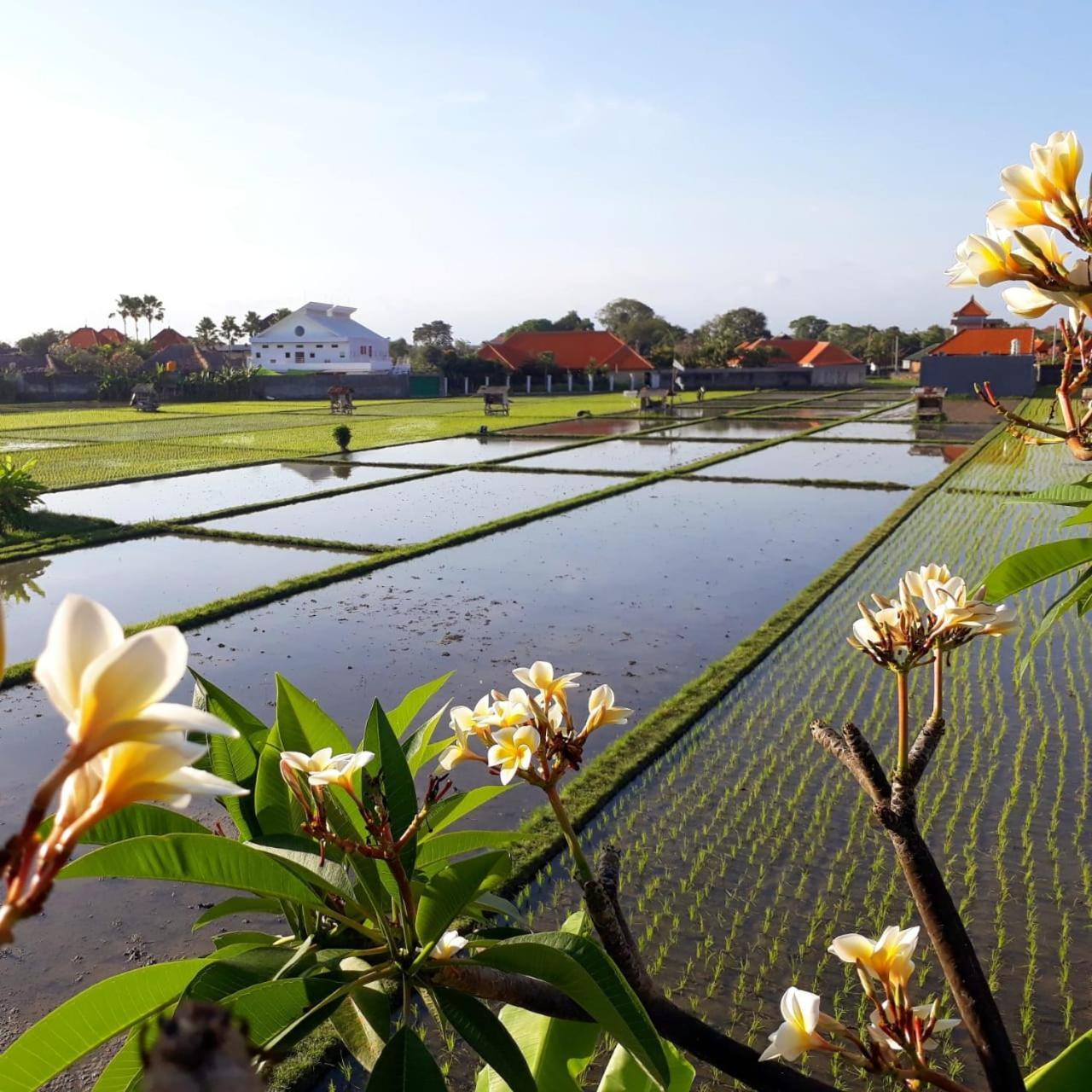 The Avani Villas 꾸따 외부 사진